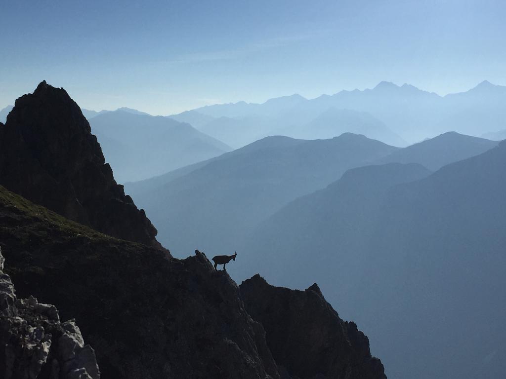 فندق Alpenhaus Monte نيوستيف ام ستوبيتا المظهر الخارجي الصورة